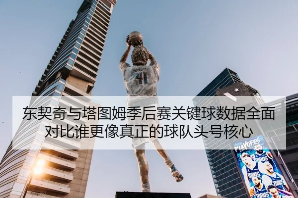 东契奇与塔图姆季后赛关键球数据全面对比谁更像真正的球队头号核心